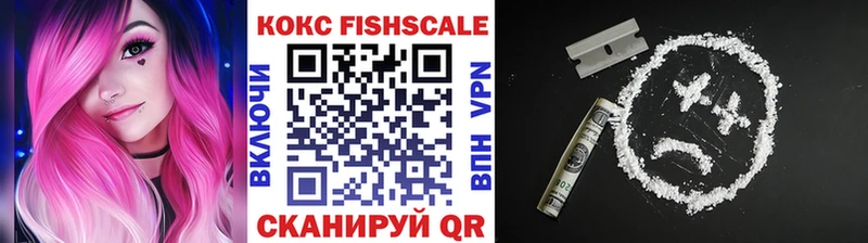 Купить закладки  Белогорск  КОКАИН Fish Scale 