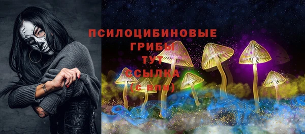 МДПВ Володарск