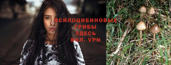 МДПВ Володарск