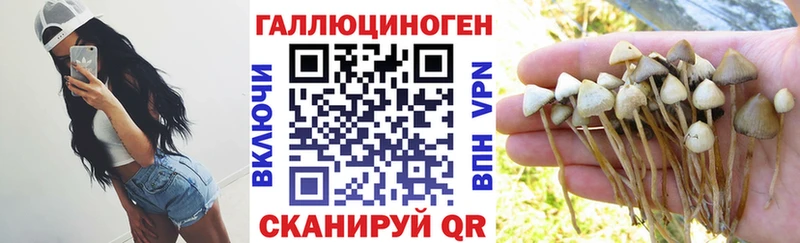 Купить где  Белогорск  Галлюциногенные грибы MAGIC MUSHROOMS 